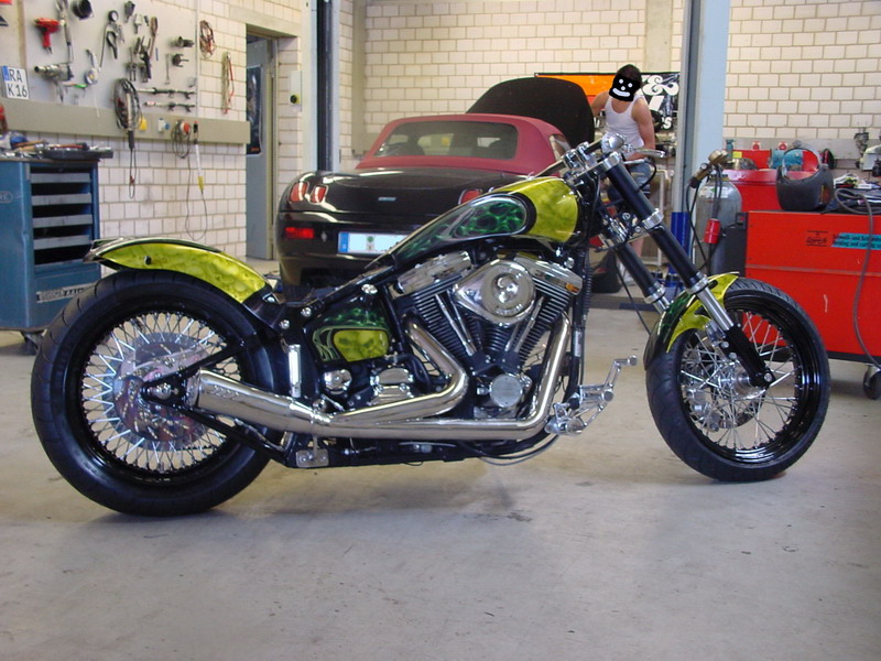 Dados Low Rider